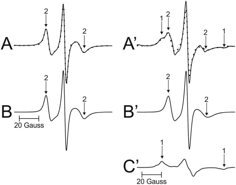 Fig. 4