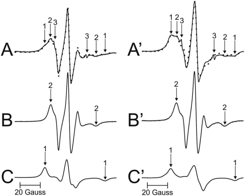 Fig. 3