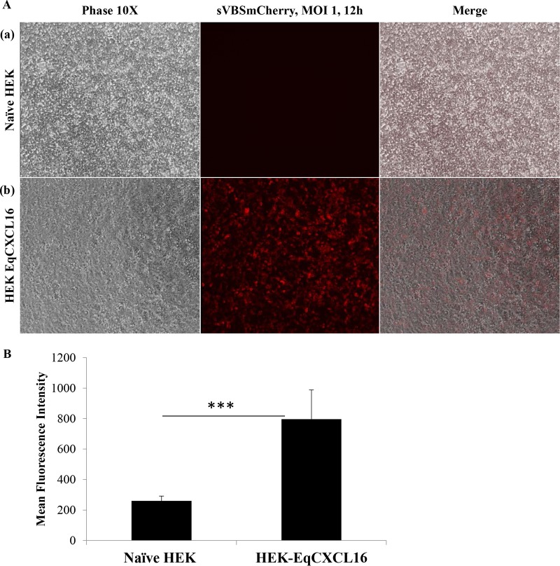 FIG 6