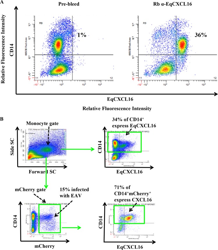 FIG 3