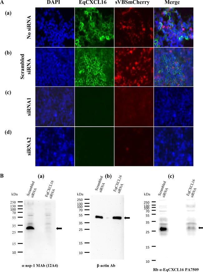 FIG 9