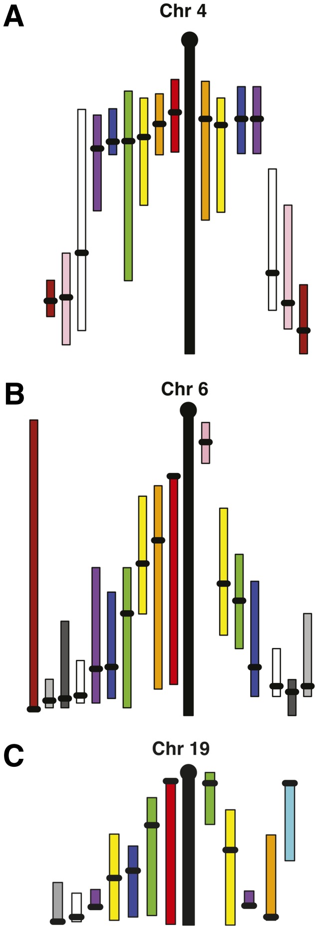 Fig. 3.