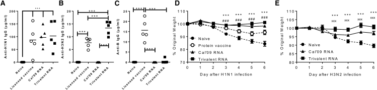 Figure 5