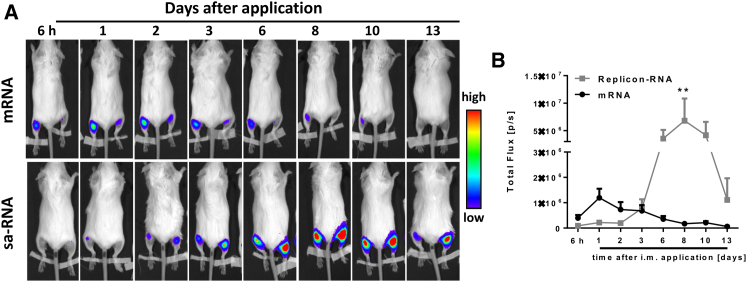 Figure 2