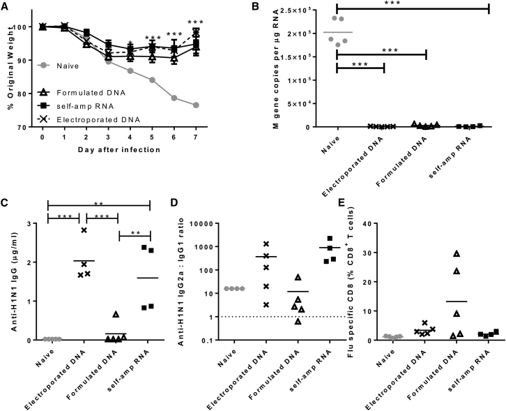 Figure 6