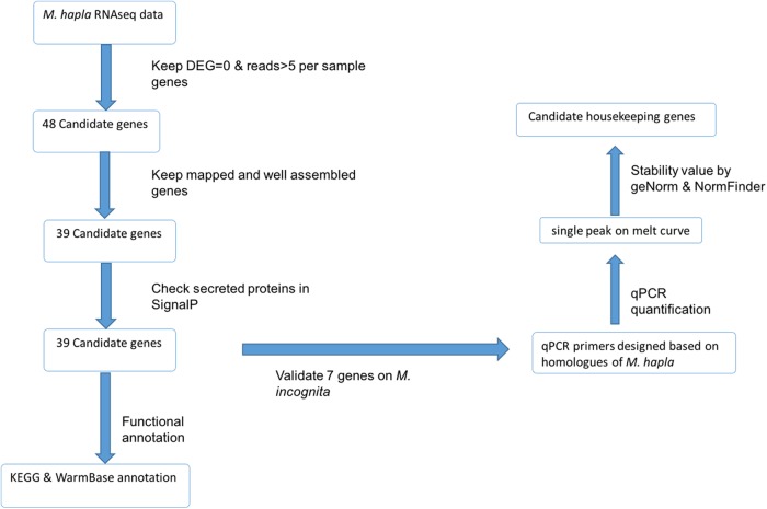 Figure 1: