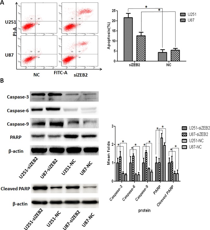 Fig 7