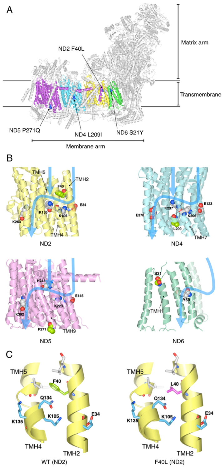 Figure 6.