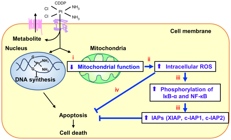 Figure 7.