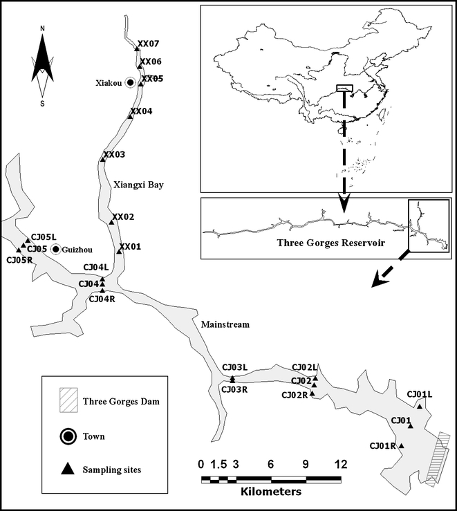 Fig. 1