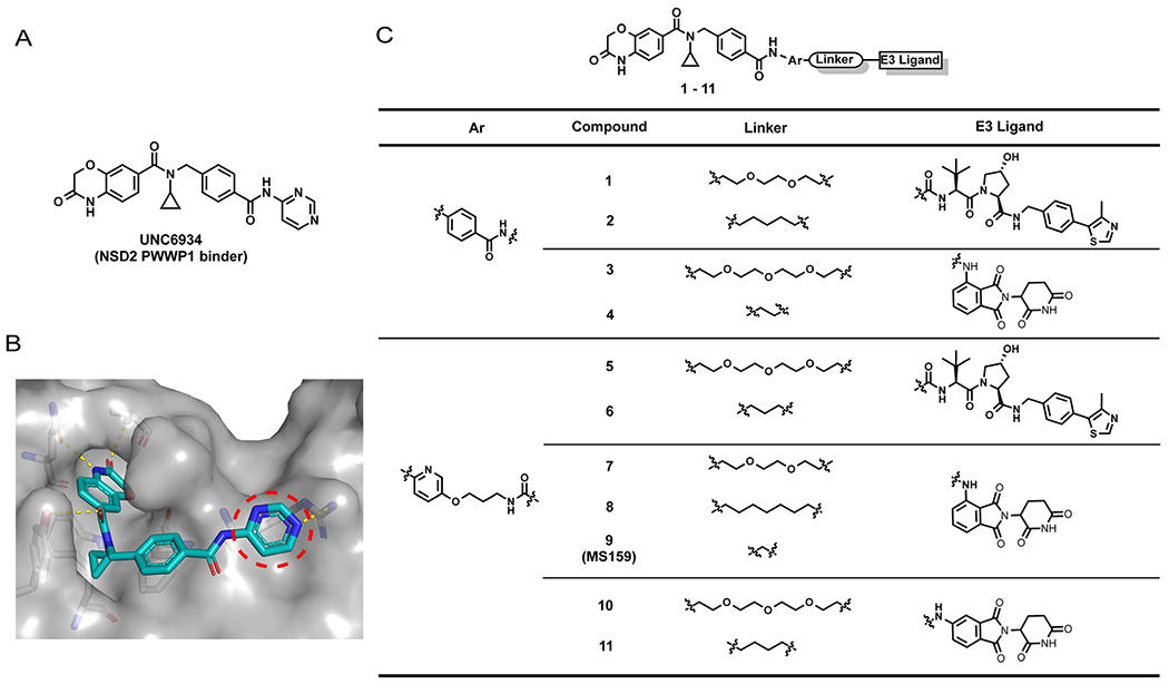 Figure 1.