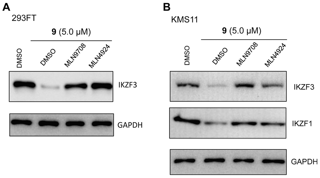 Figure 7.