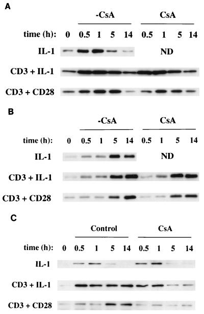 FIG. 3