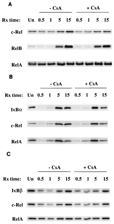 FIG. 7