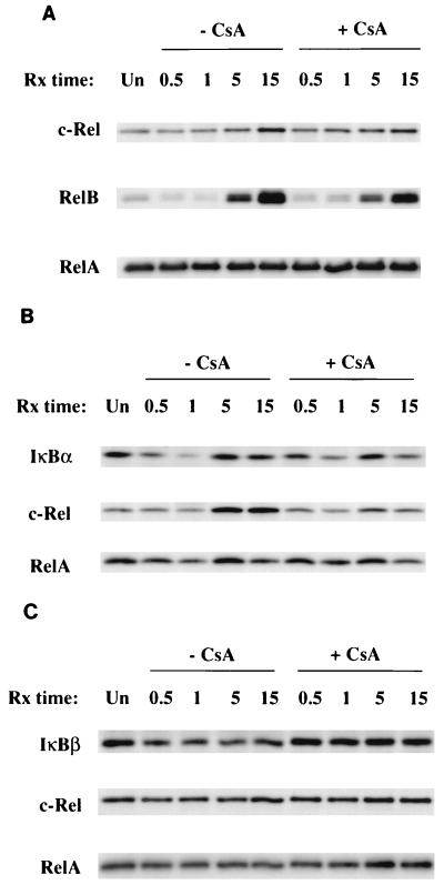 FIG. 8