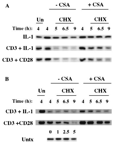 FIG. 6