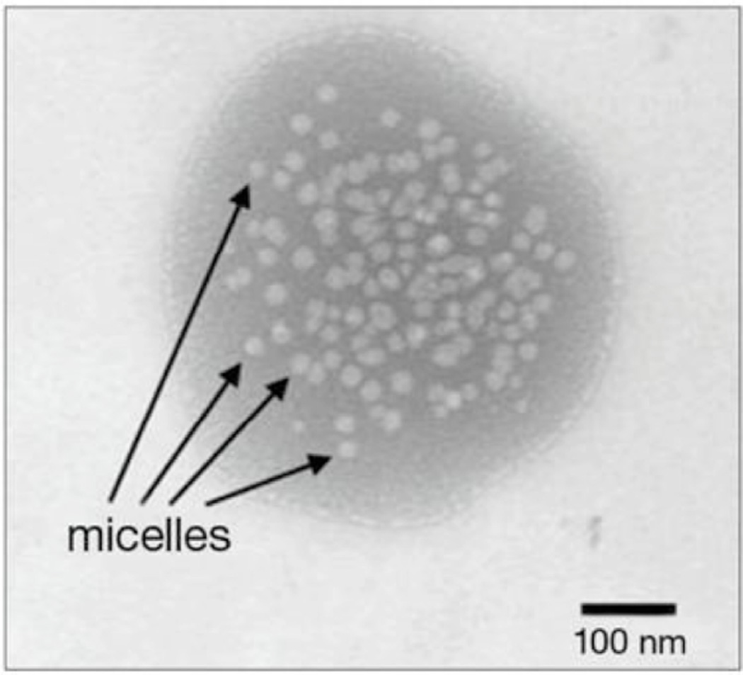 Fig. (4)