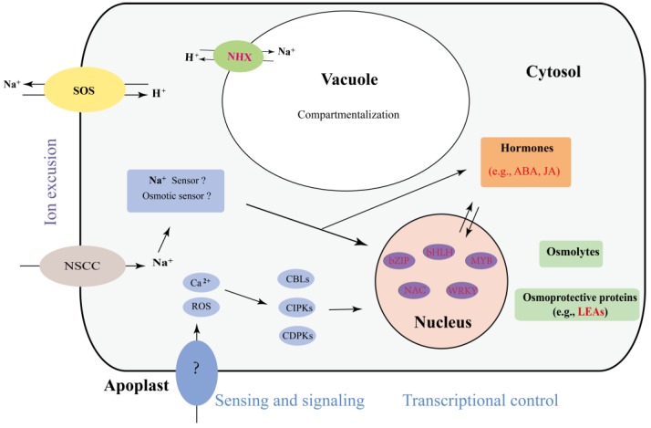 Figure 6