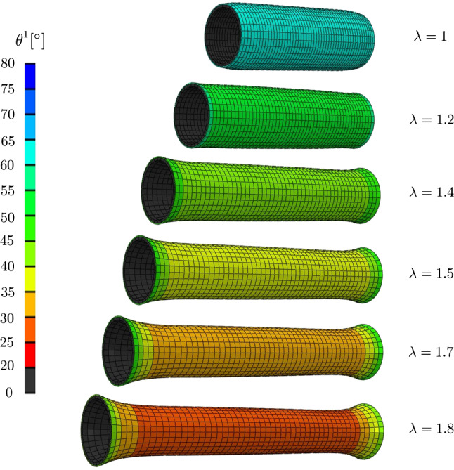 Fig. 6