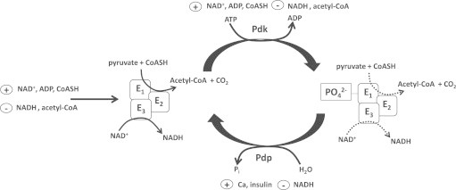 Fig. 6