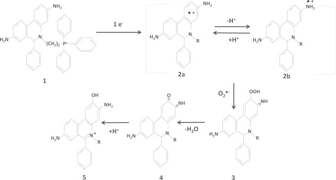 Fig. 10