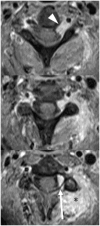 Figure 15.