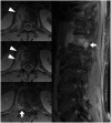 Figure 17.
