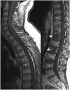 Figure 13.
