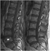 Figure 11.