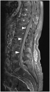 Figure 16.
