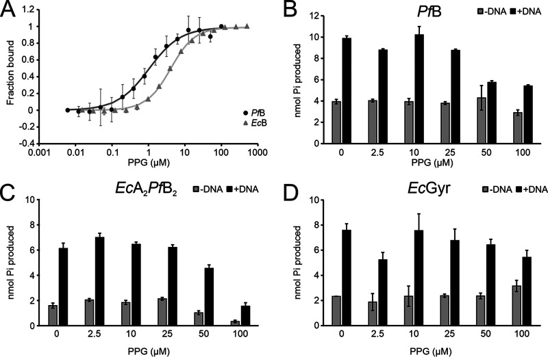 FIG 3