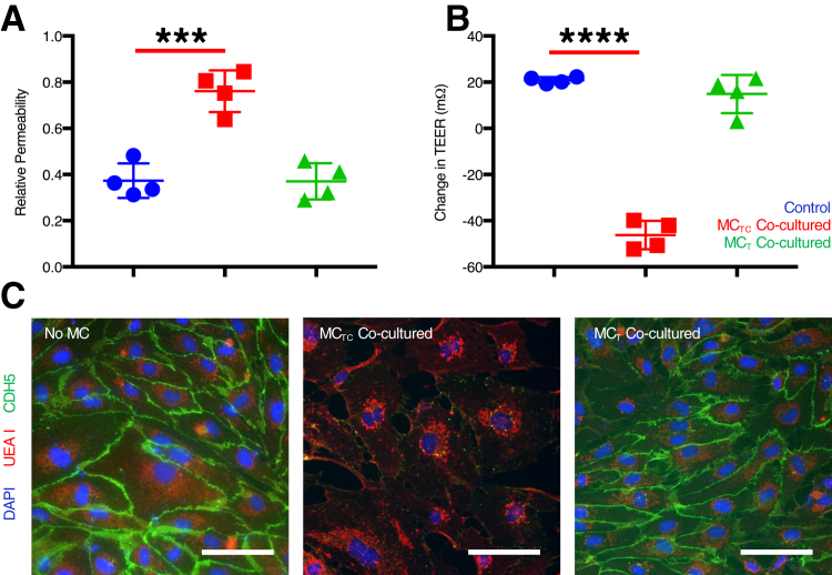 Figure 4