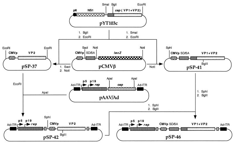 FIG. 1