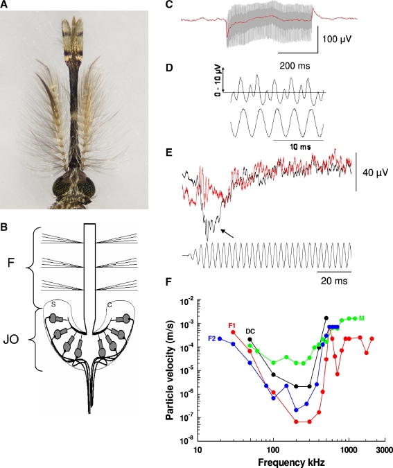 FIG. 1