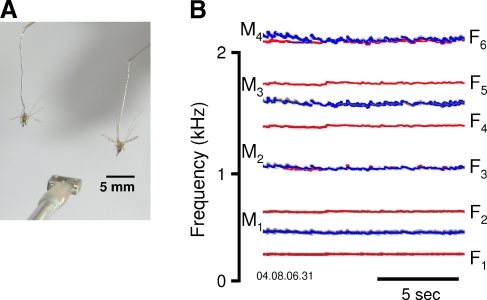 FIG. 4