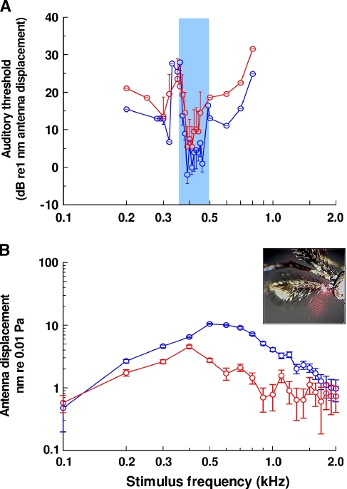 FIG. 3