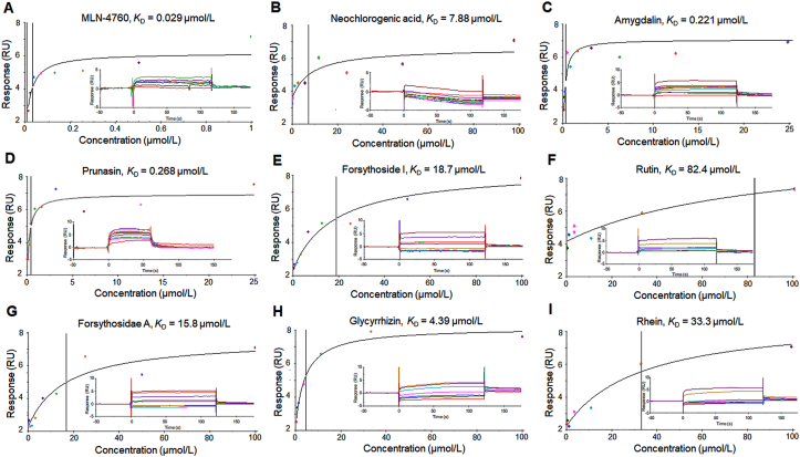 Figure 6