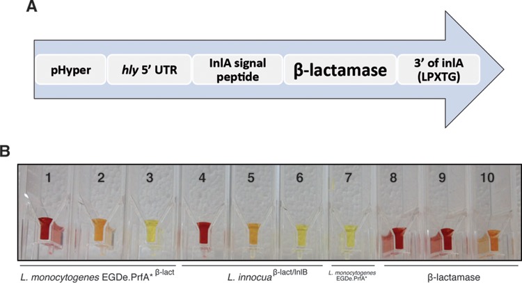 FIG 1