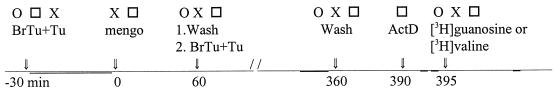 FIG. 7