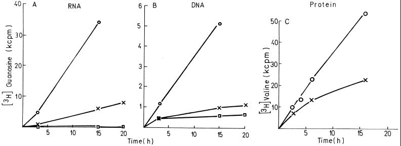 FIG. 7