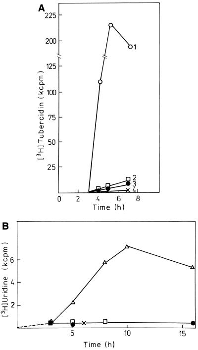 FIG. 5