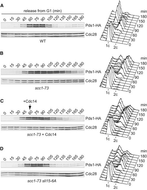 Figure 3