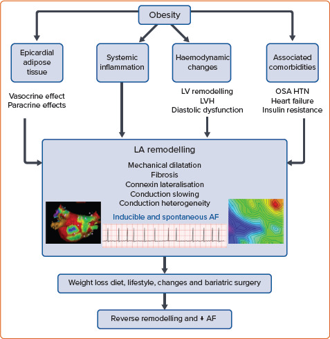 Figure 1: