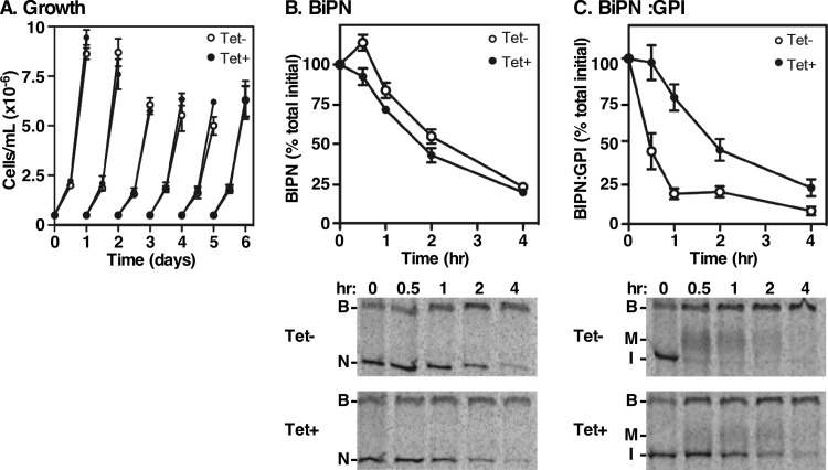 FIG 8 