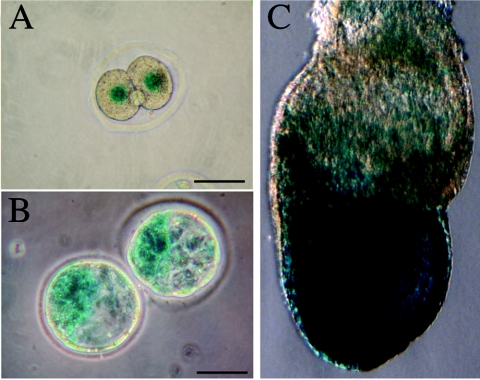 FIG. 5.