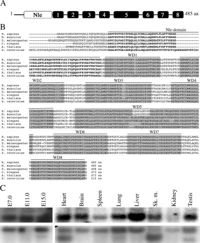 FIG. 1.