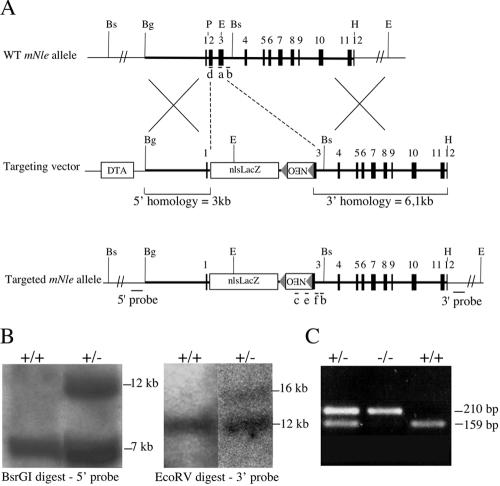 FIG. 3.