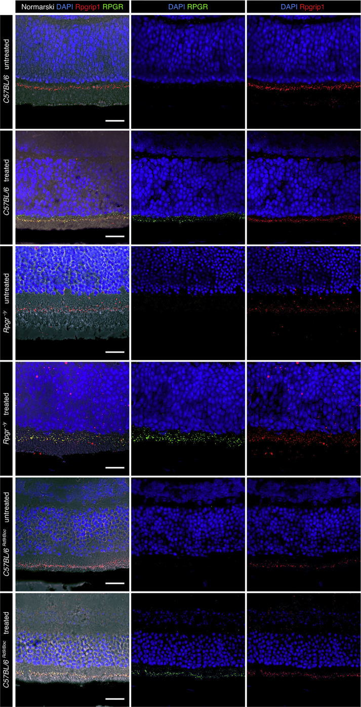 Figure 4