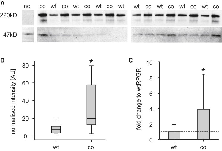 Figure 1