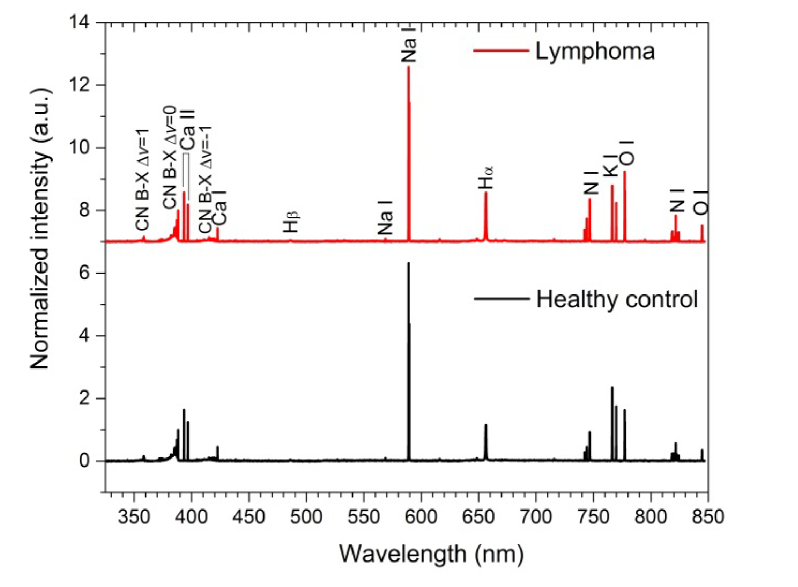 Fig. 2